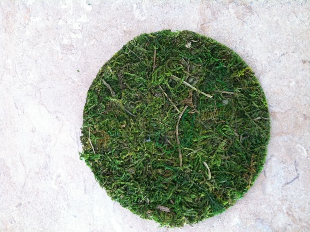 Moss Circle