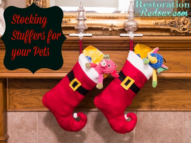 Stocking Stuffers For Your Pets From Sams Club